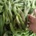 山豆油豆角紫花油豆基地一手货源大量有货可视频看货