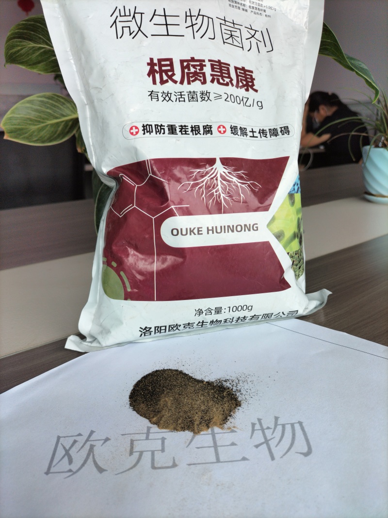 根腐惠康根腐青枯立枯茎基腐黑胫病四菌联合无抗性不烧根烧苗