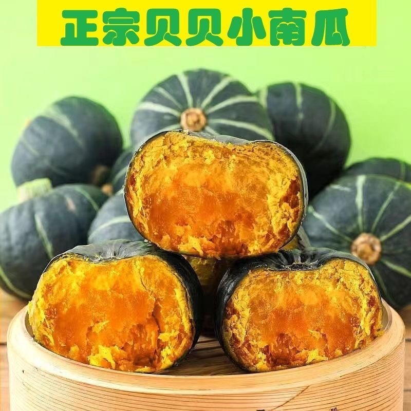 贝贝南瓜