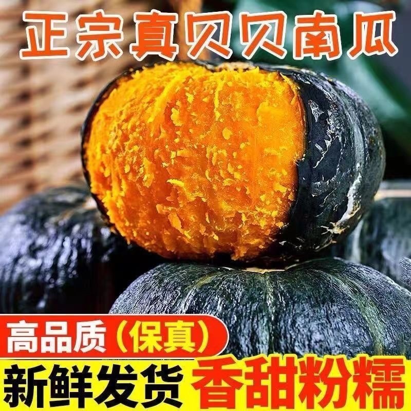贝贝南瓜