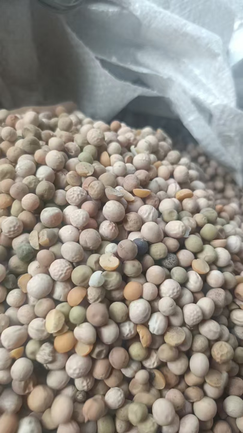 豌豆碎，豌豆瓣，豌豆，