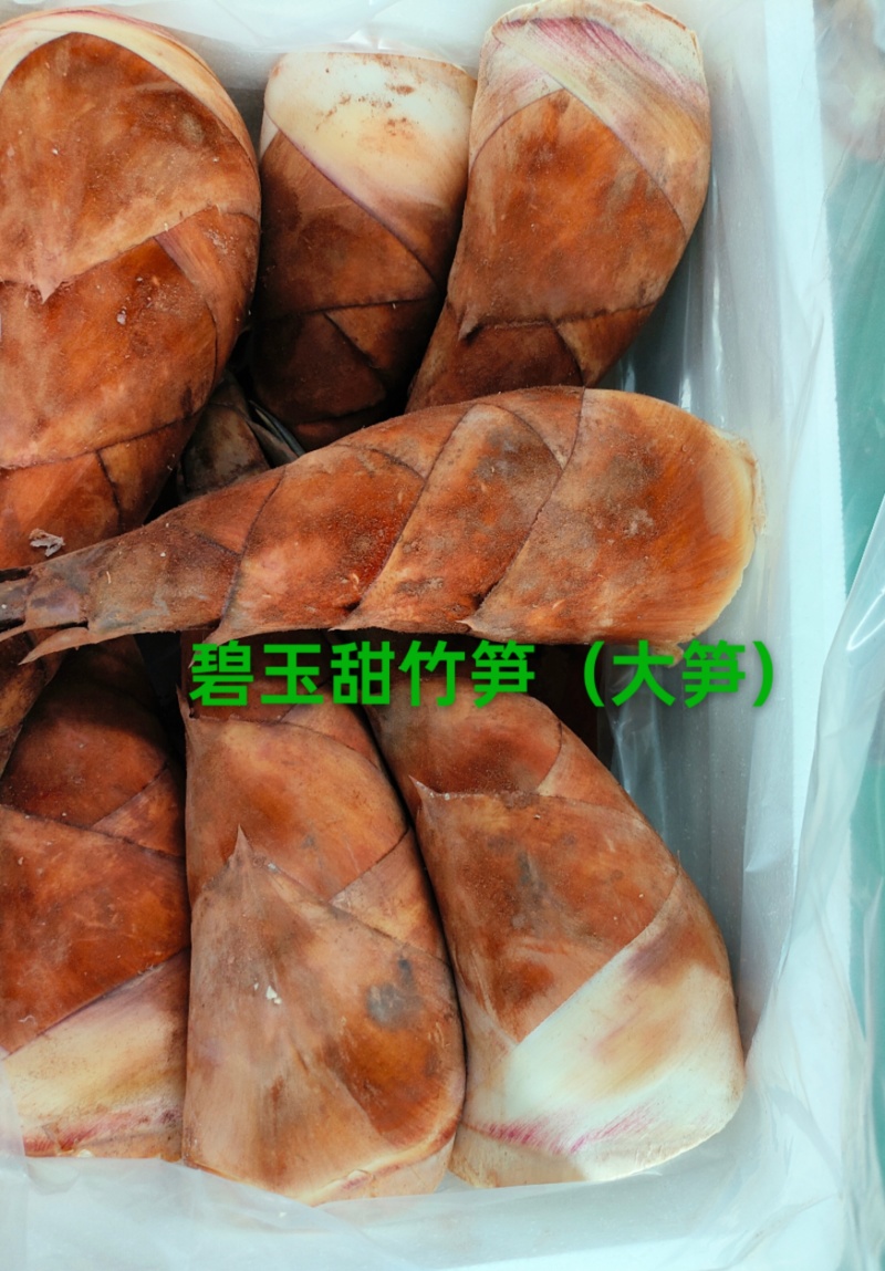 甜竹笋产地