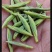 陇南绿茶，马家山龙井四十三，老茶客，私人订制，不做供应商