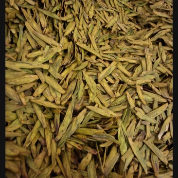 陇南绿茶，马家山龙井四十三，老茶客，私人订制，不做供应商
