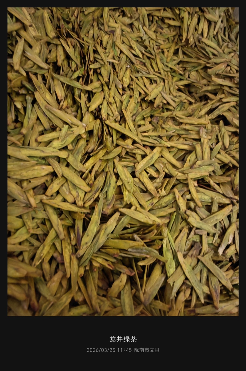 陇南绿茶，马家山龙井四十三，老茶客，私人订制，不做供应商