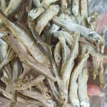 水煮公鱼，十成干。
