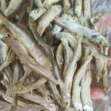 水煮公鱼，十成干。