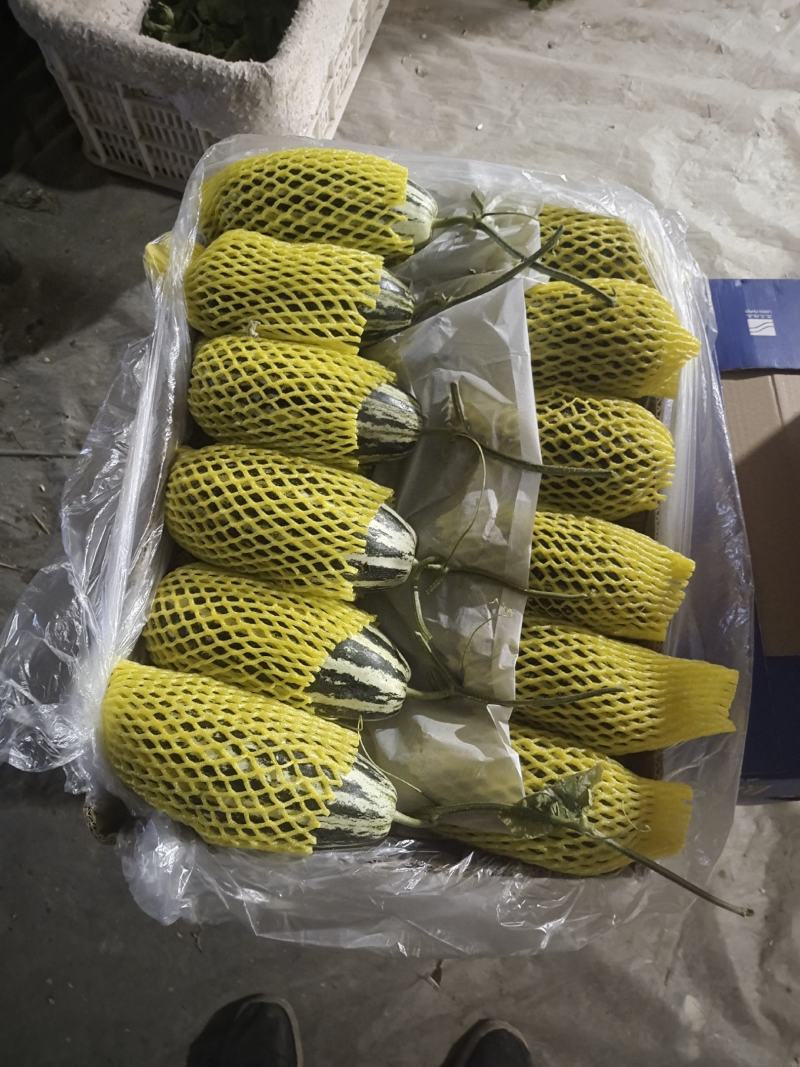 精品博洋甜瓜，脆甜多汁，营养丰富，口感香甜，耐运输