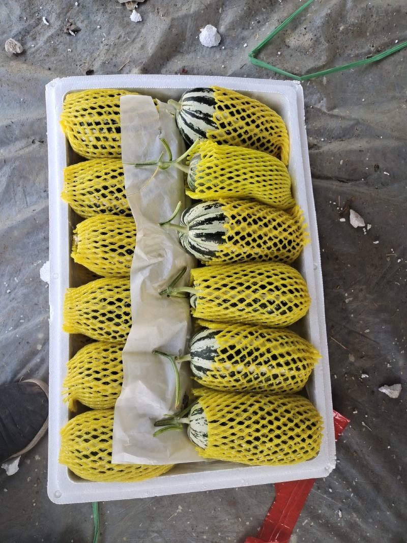 精品博洋甜瓜，脆甜多汁，营养丰富，口感香甜，耐运输