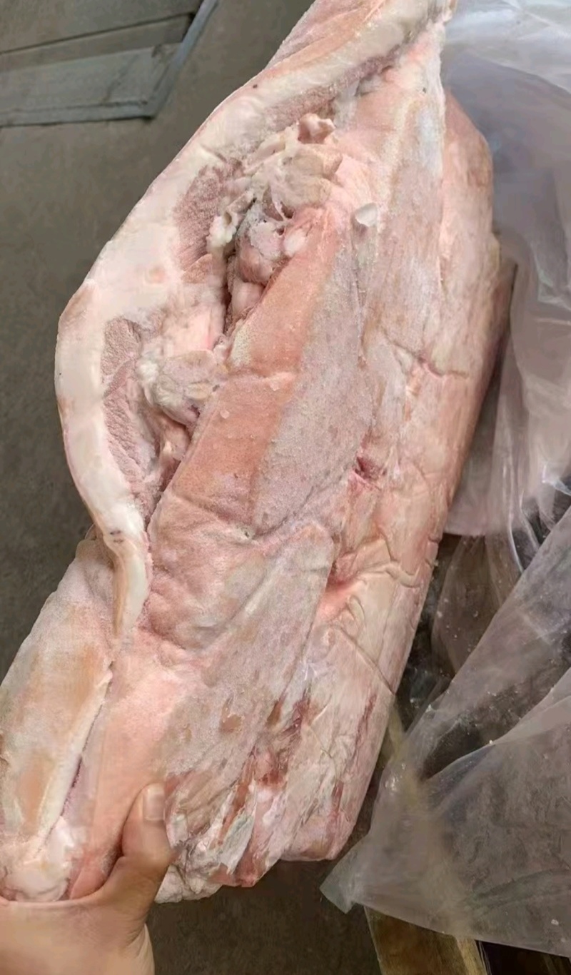 槽头规格齐全肥猪大小都有价格美丽欢迎咨询来电优