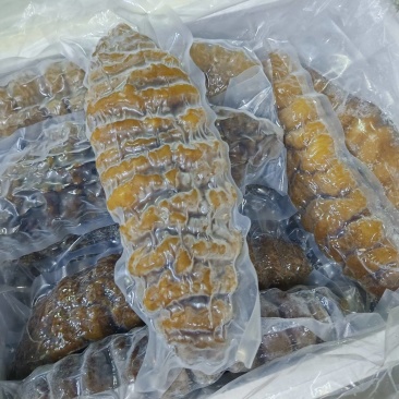 螺纹参即食海参大乌参高质量