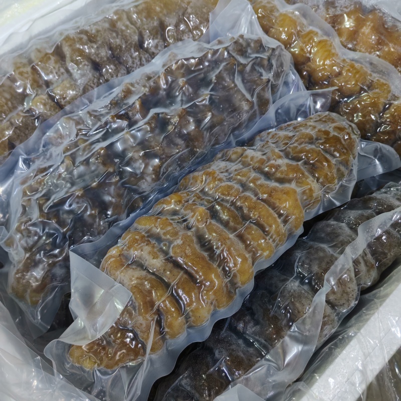 螺纹参即食海参大乌参高质量
