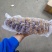 螺纹参即食海参大乌参高质量