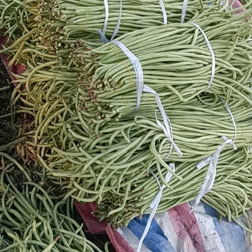 豆角