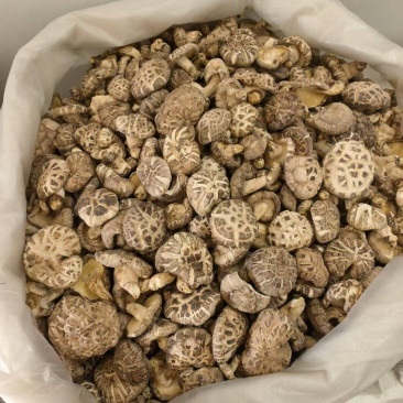 干香菇自家种植品质保障量大价格可谈欢迎来电采购