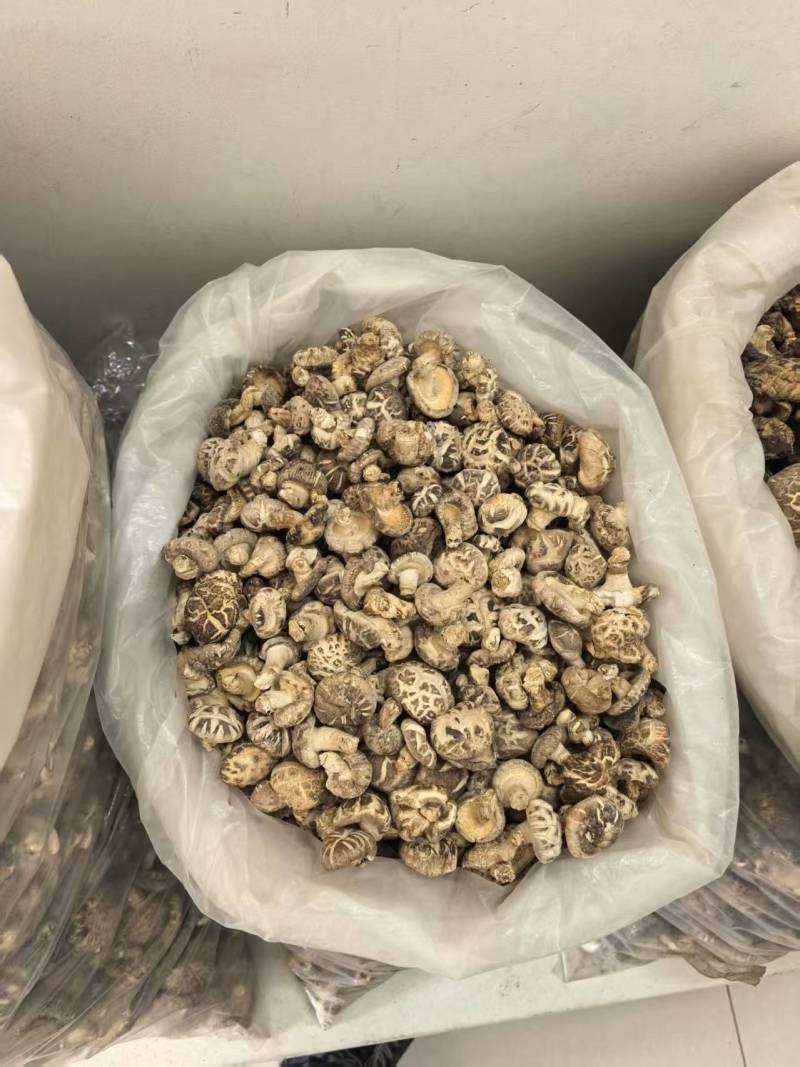 干香菇自家种植品质保障量大价格可谈欢迎来电采购