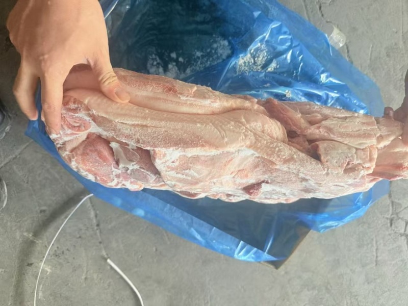 肥猪膘二