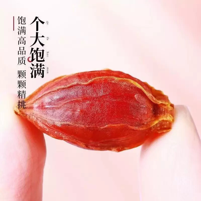 大量黄栀子、山栀子