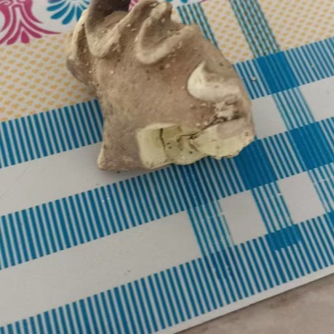 ***羊宝，有检测报告