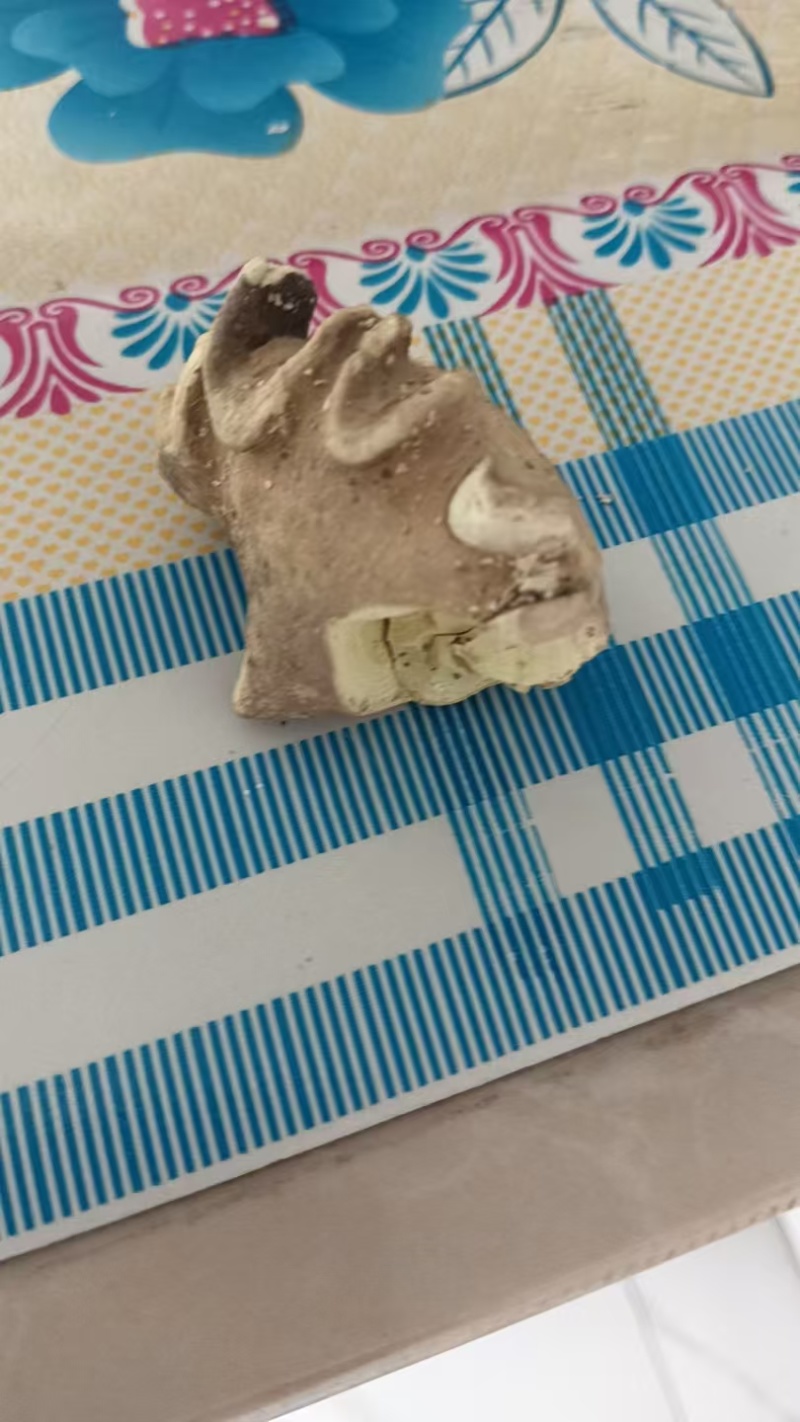 ***羊宝，有检测报告