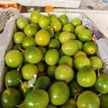 钦蜜9号百香果