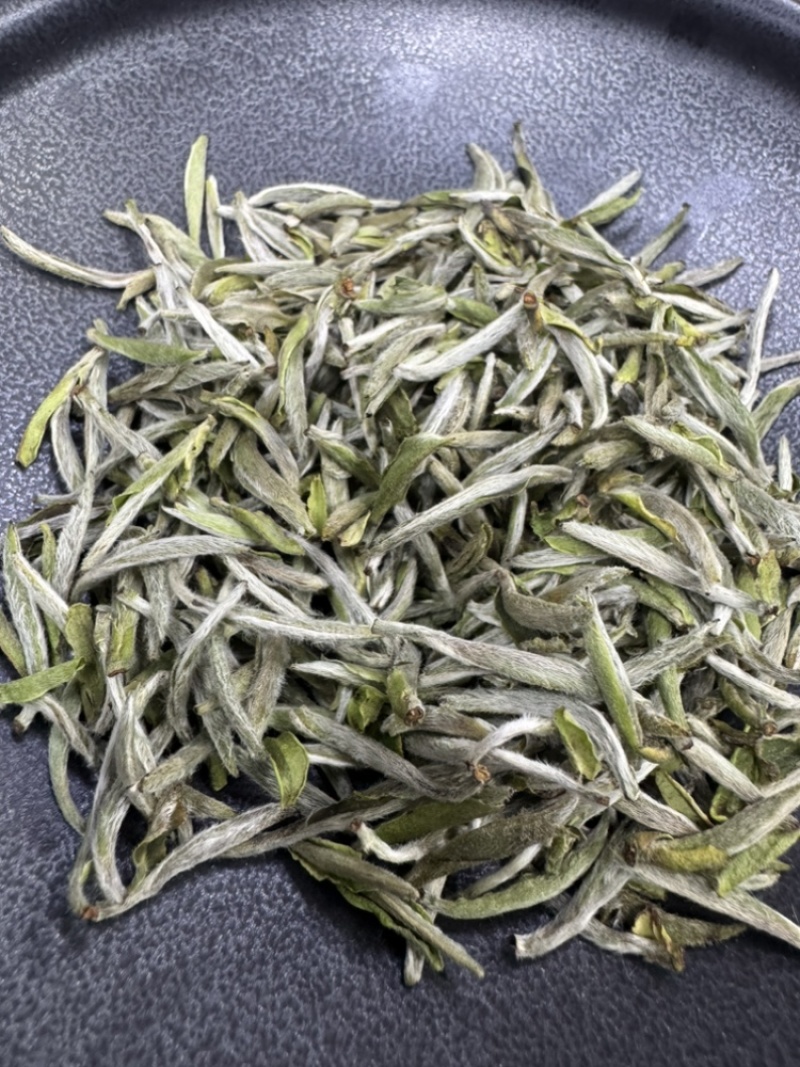 白毫银针