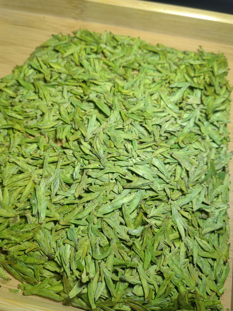 特级乌牛早茶