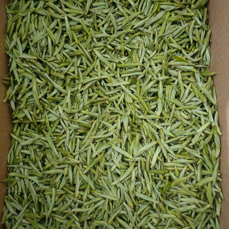 特级乌牛早茶