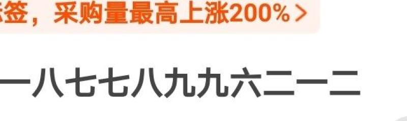 酸梅/肉梅/粉梅/罗冈梅
