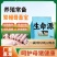 母畜猪牛羊通用生命源，提高繁殖率一窝多产3头不发情直接用