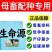 母畜猪牛羊通用生命源，提高繁殖率一窝多产3头不发情直接用