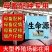 母畜猪牛羊通用生命源，提高繁殖率一窝多产3头不发情直接用