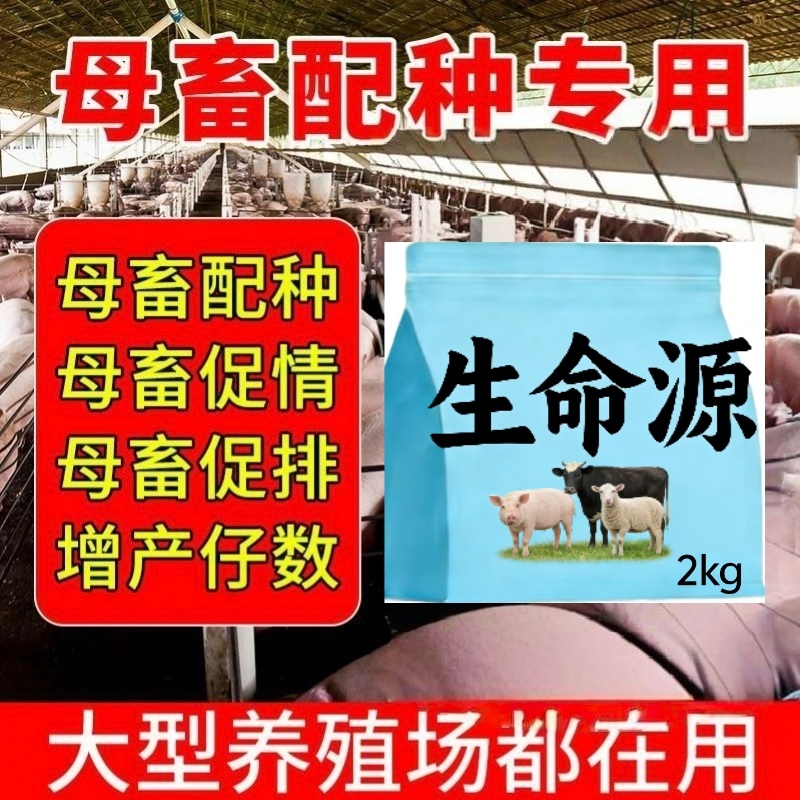 母畜猪牛羊通用生命源，提高繁殖率一窝多产3头不发情直接用