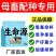 母畜猪牛羊通用生命源，提高繁殖率一窝多产3头不发情直接用