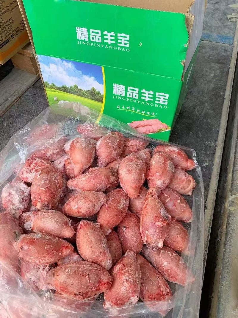 特级大羊宝烧烤专用