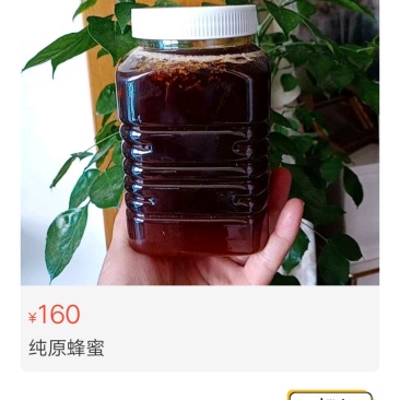 云南土蜂蜜
