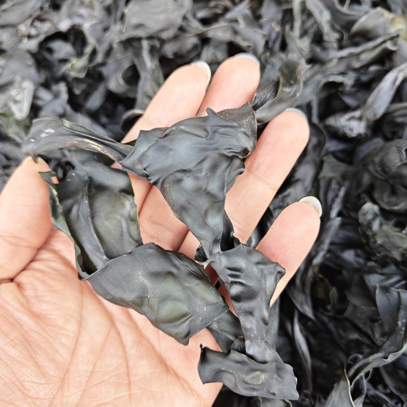 烘干海带结十斤一件纯干货无沙无杂15倍泡发