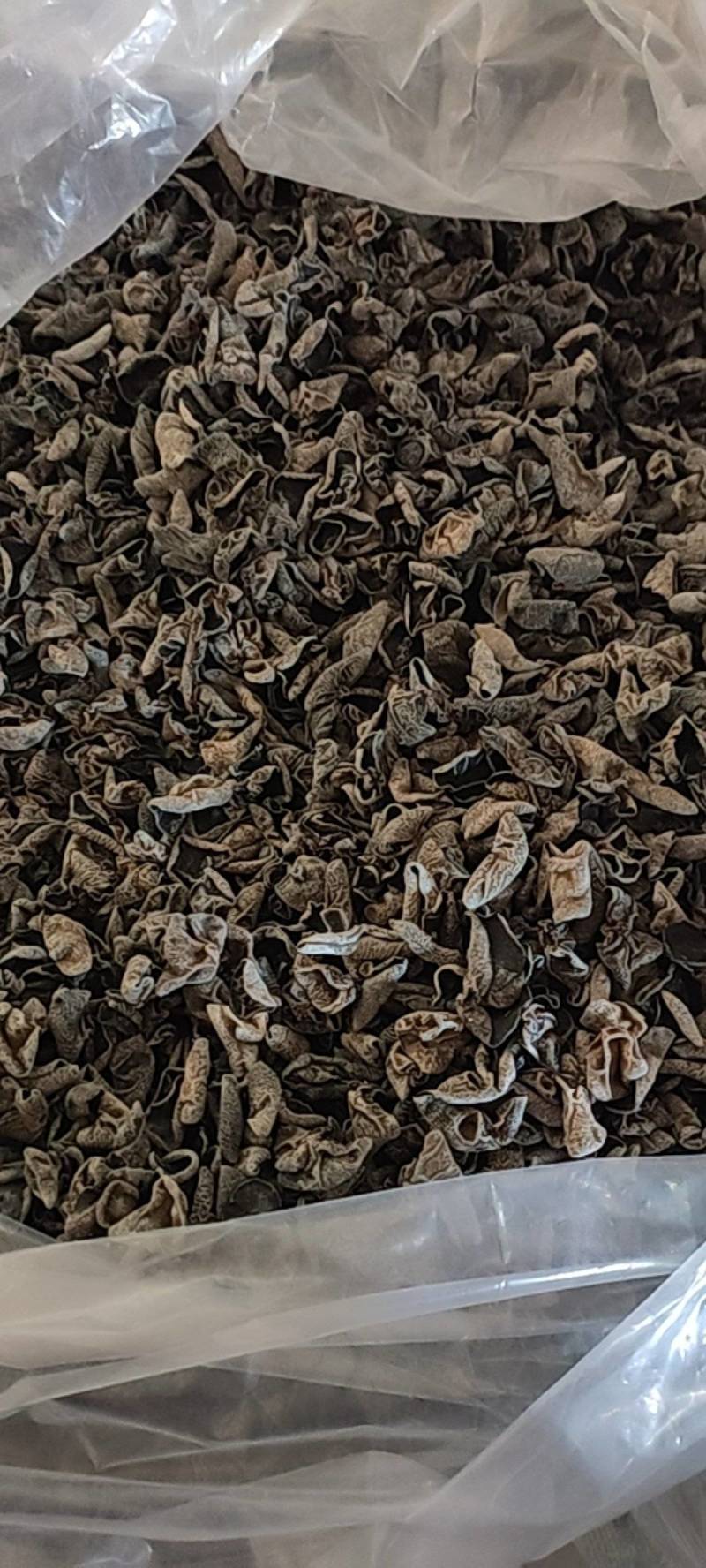东北黑木耳，大量上市，全国发货，欢迎进店沟通