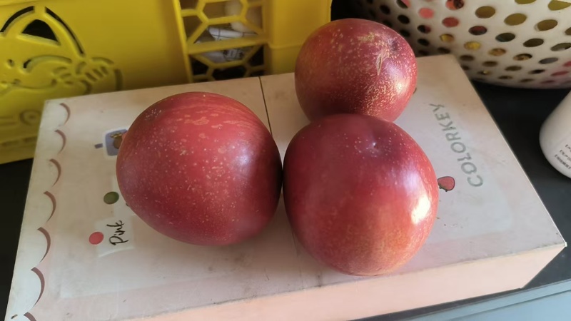 黄心油桃