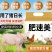 仔猪饲料日长3斤防拉稀促生长毛色好