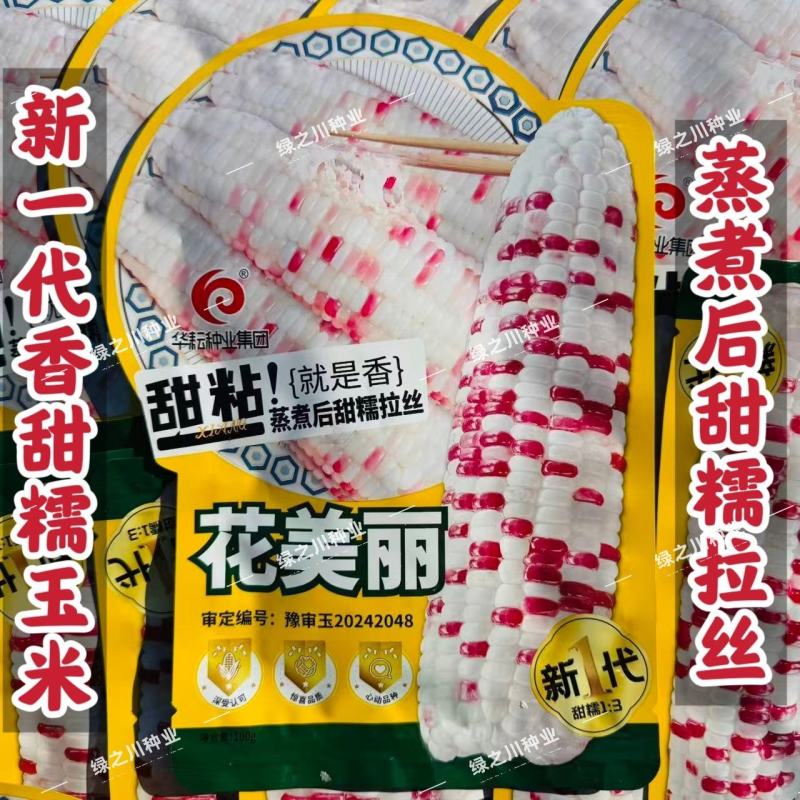 花美丽甜糯玉米种子甜粘拉丝大棒彩甜糯玉米种籽春秋香甜糯