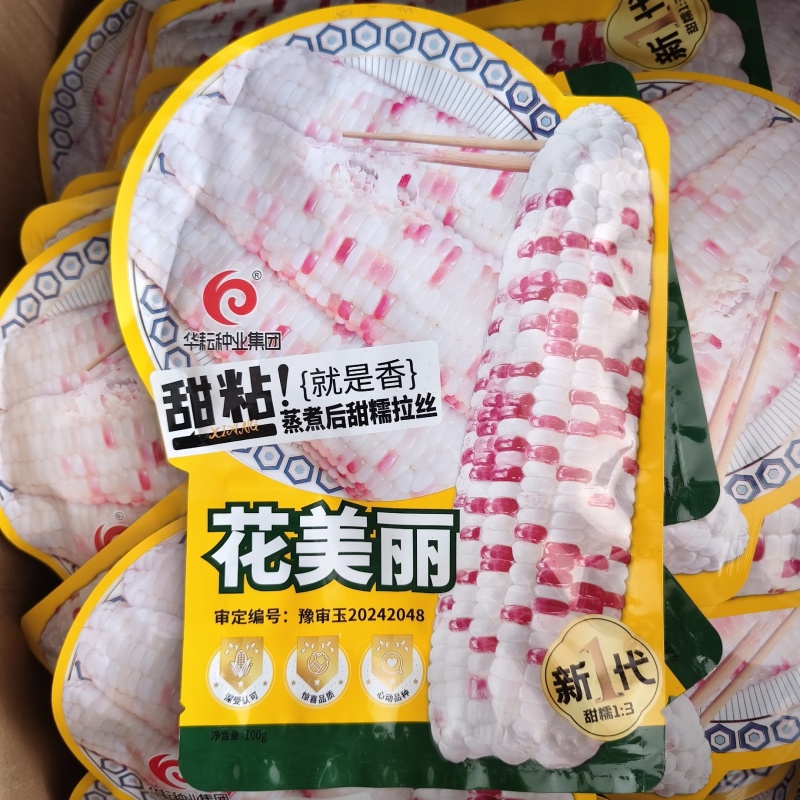 花美丽甜糯玉米种子甜粘拉丝大棒彩甜糯玉米种籽春秋香甜糯