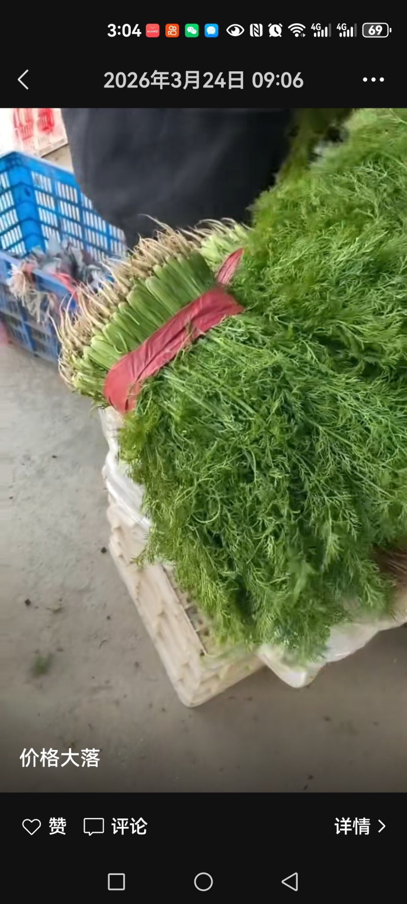 各种精品蔬菜大代价需要的老板私信。