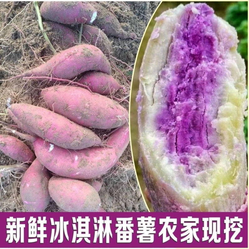 现挖冰淇淋红薯一点红番薯花心冰激凌板栗地瓜