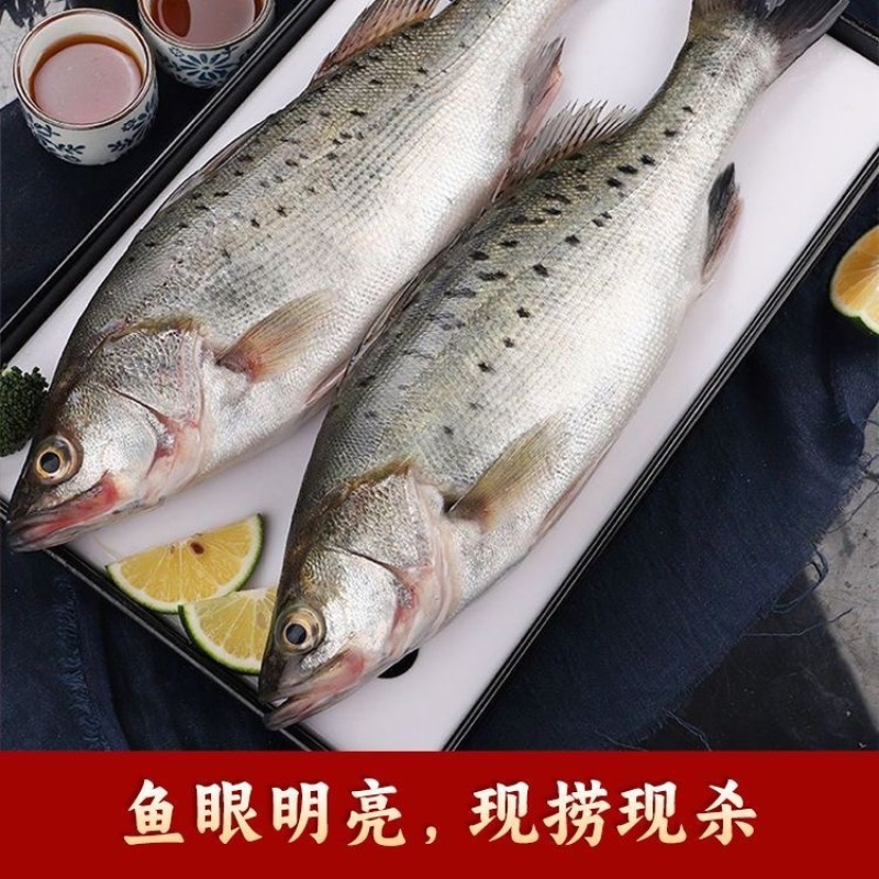 厂家直销开背鲈鱼，全部***，量大可以联系，都是现货