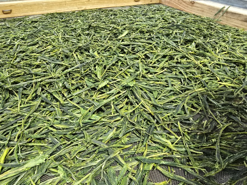 太平猴魁正宗核心原厂猴坑村猴坑小队地农家自产需要的联系我