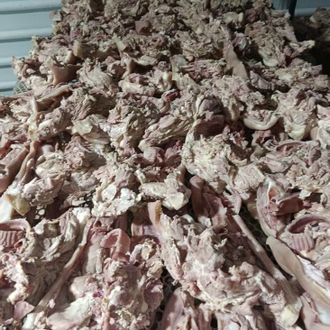 半成品猪头肉