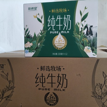 纯牛奶300提儿童奶300提酸奶300提
