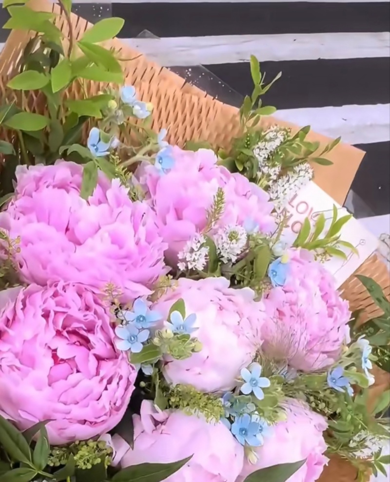 出售进口芍药花，100枝起售，固定长期合作伙伴