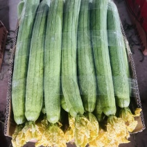 鲜花丝瓜